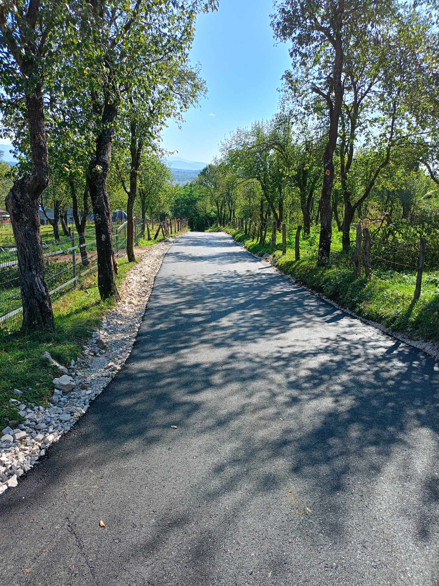 received 750512253511332