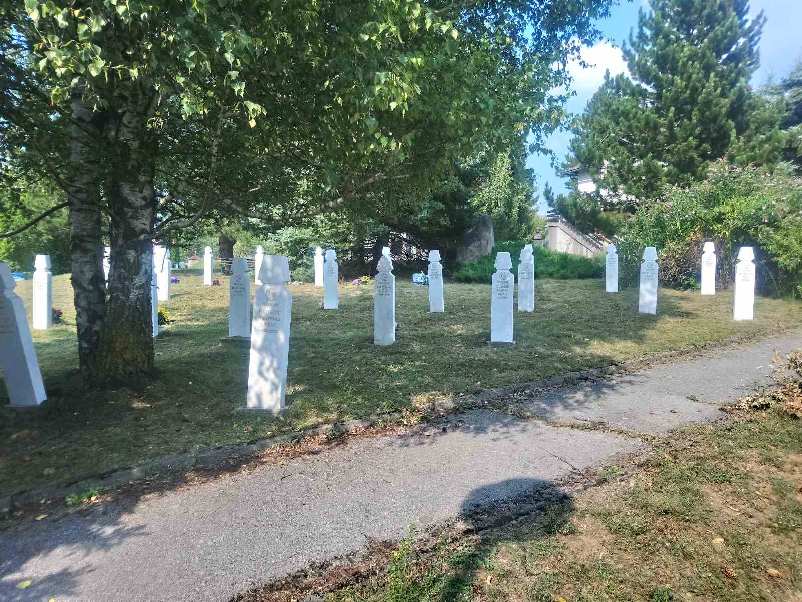 IMG 2d0af0cb2fe6324efe18a478574529bd V